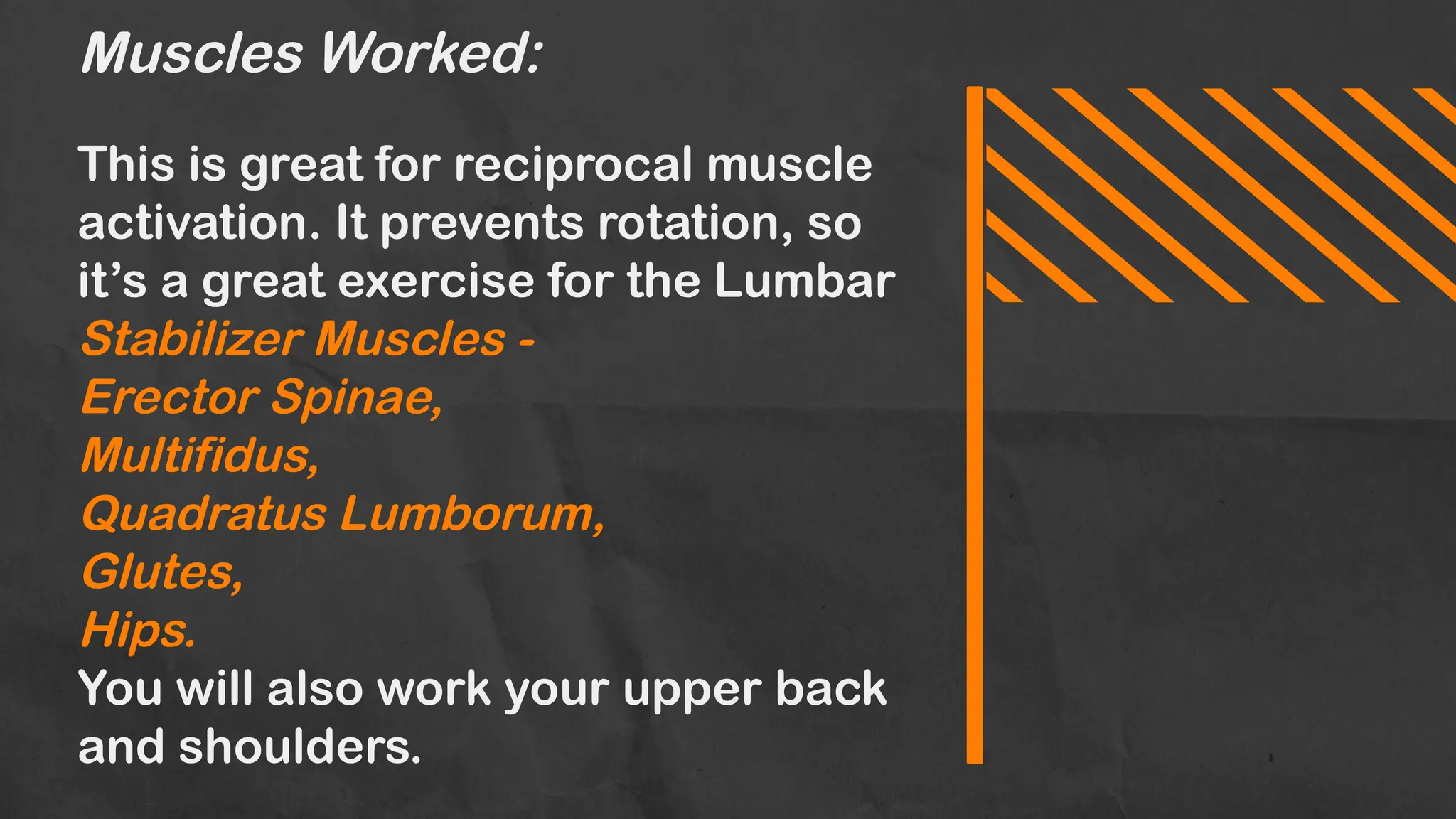 Muscles Worked:
This is great for reciprocal muscle
activation. It prevents rotation, so
it’s a great exercise for the Lumbar
Stabilizer Muscles -
Erector Spinae,
Multifidus,
Quadratus Lumborum,
Glutes,
Hips.
You will also work your upper back
and shoulders.
 