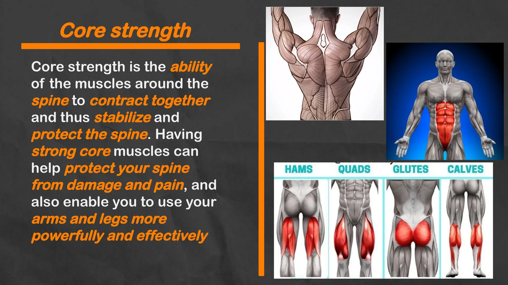 Core strength is the ability
of the muscles around the
spine to contract together
and thus stabilize and
protect the spine. Having
strong core muscles can
help protect your spine
from damage and pain, and
also enable you to use your
arms and legs more
powerfully and effectively
Core strength
 