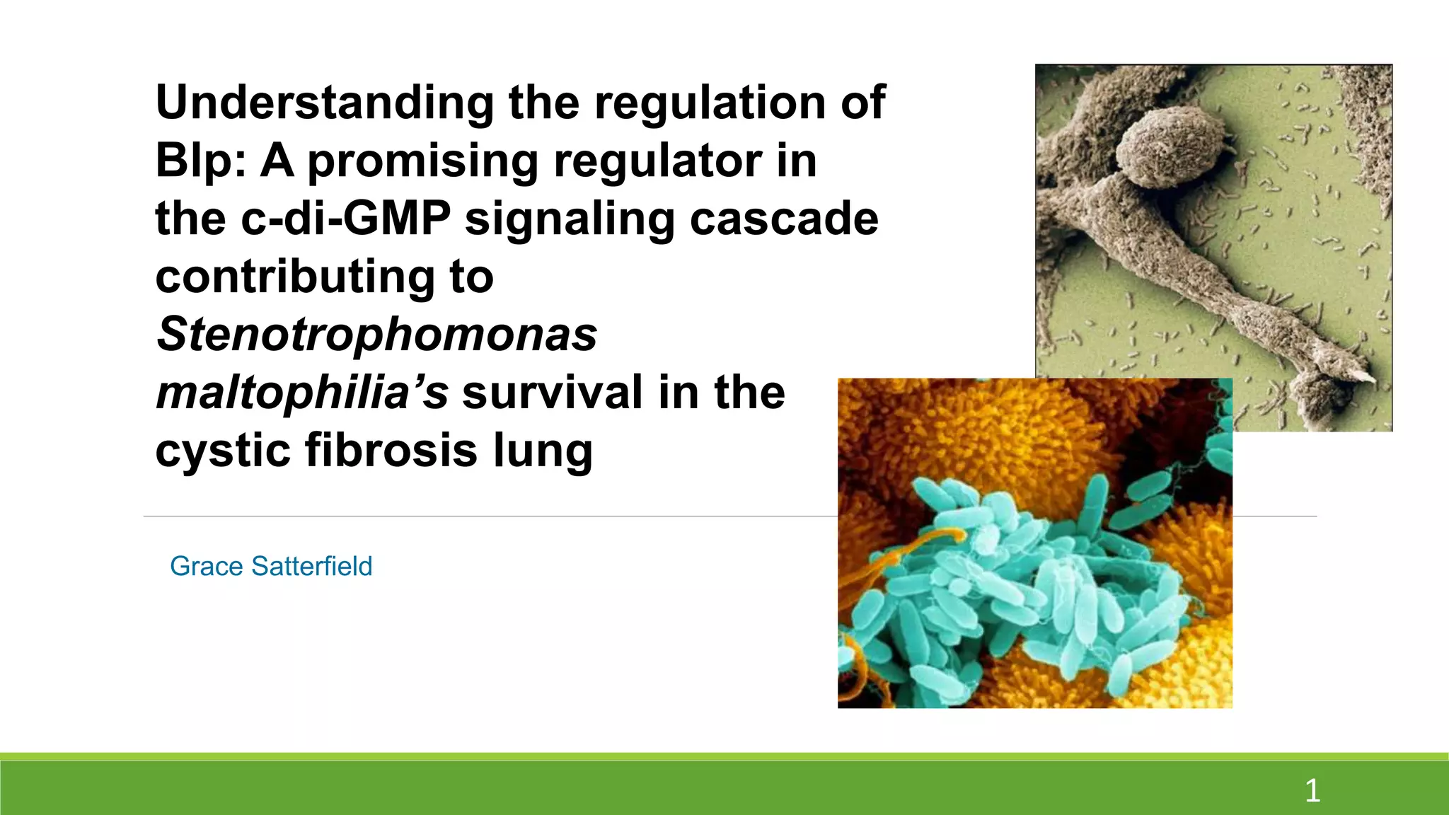 Cystic Fibrosis Infection Risk Proposal | PPTX