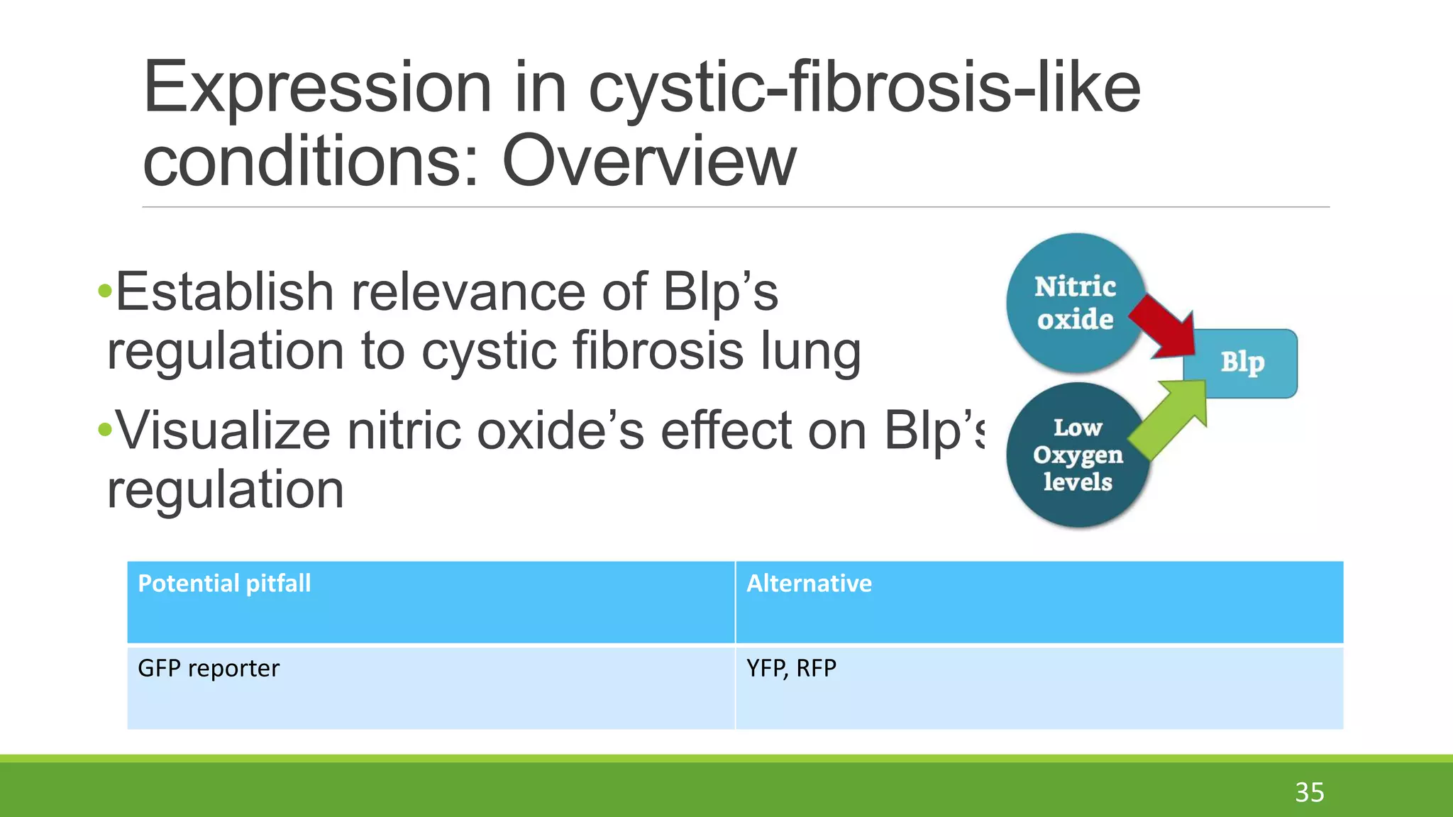 Cystic Fibrosis Infection Risk Proposal | PPTX