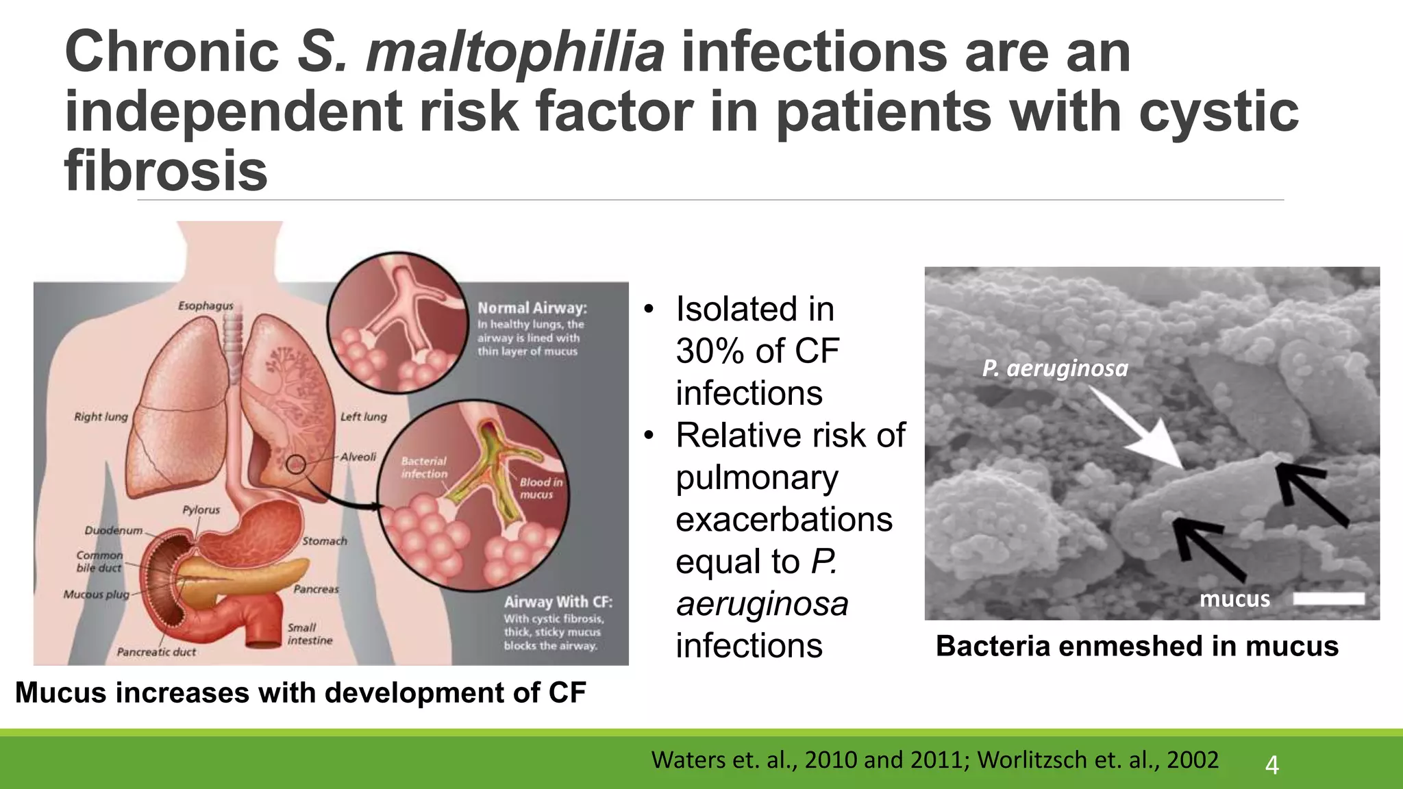 Cystic Fibrosis Infection Risk Proposal | PPTX
