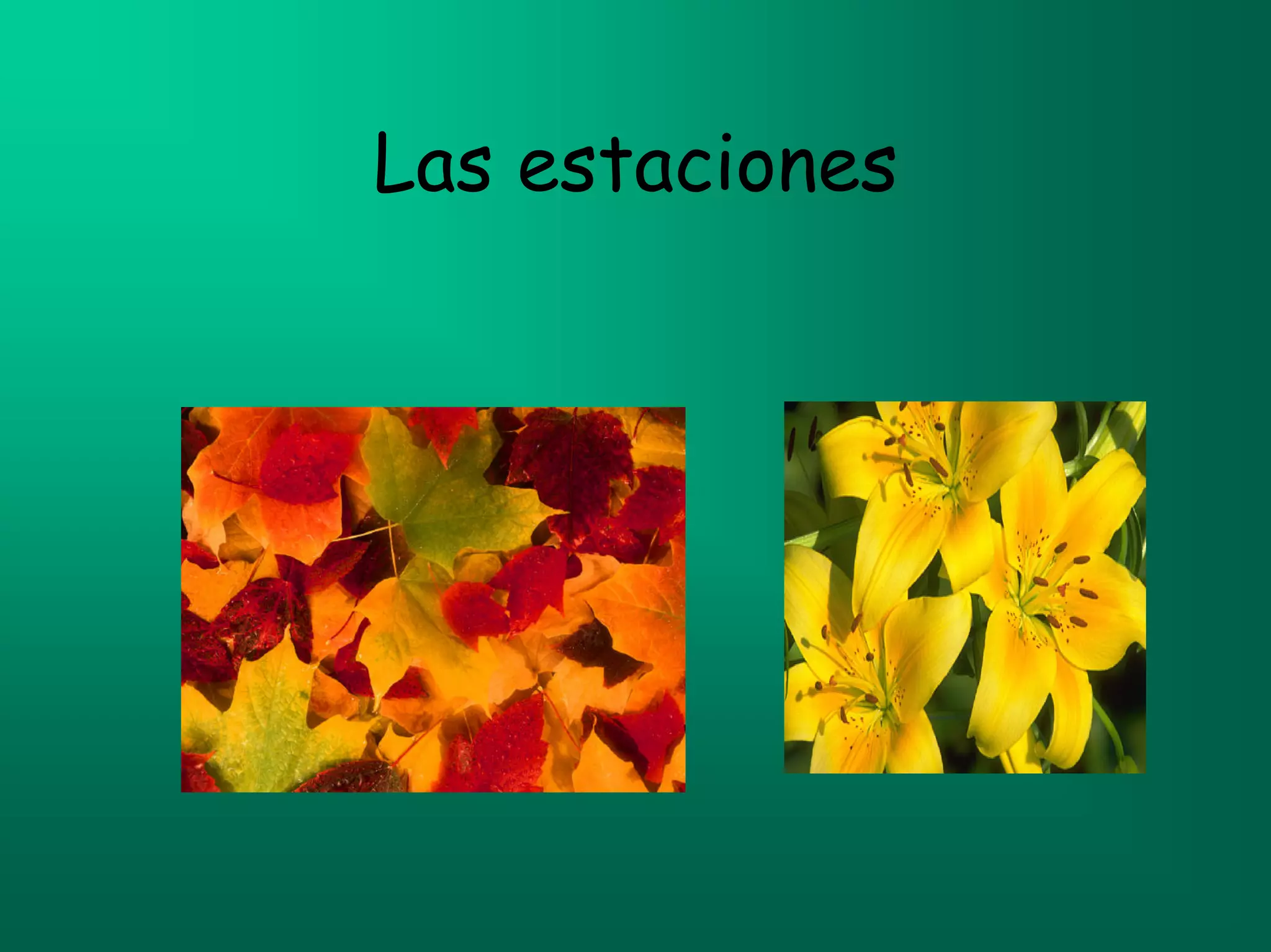Las estaciones
 