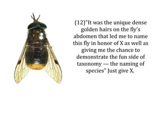 (12)"It was the unique dense
    golden hairs on the fly's
abdomen that led me to name
this fly in honor of X as well as
    giving me the chance to
  demonstrate the fun side of
  taxonomy — the naming of
      species” Just give X.
 