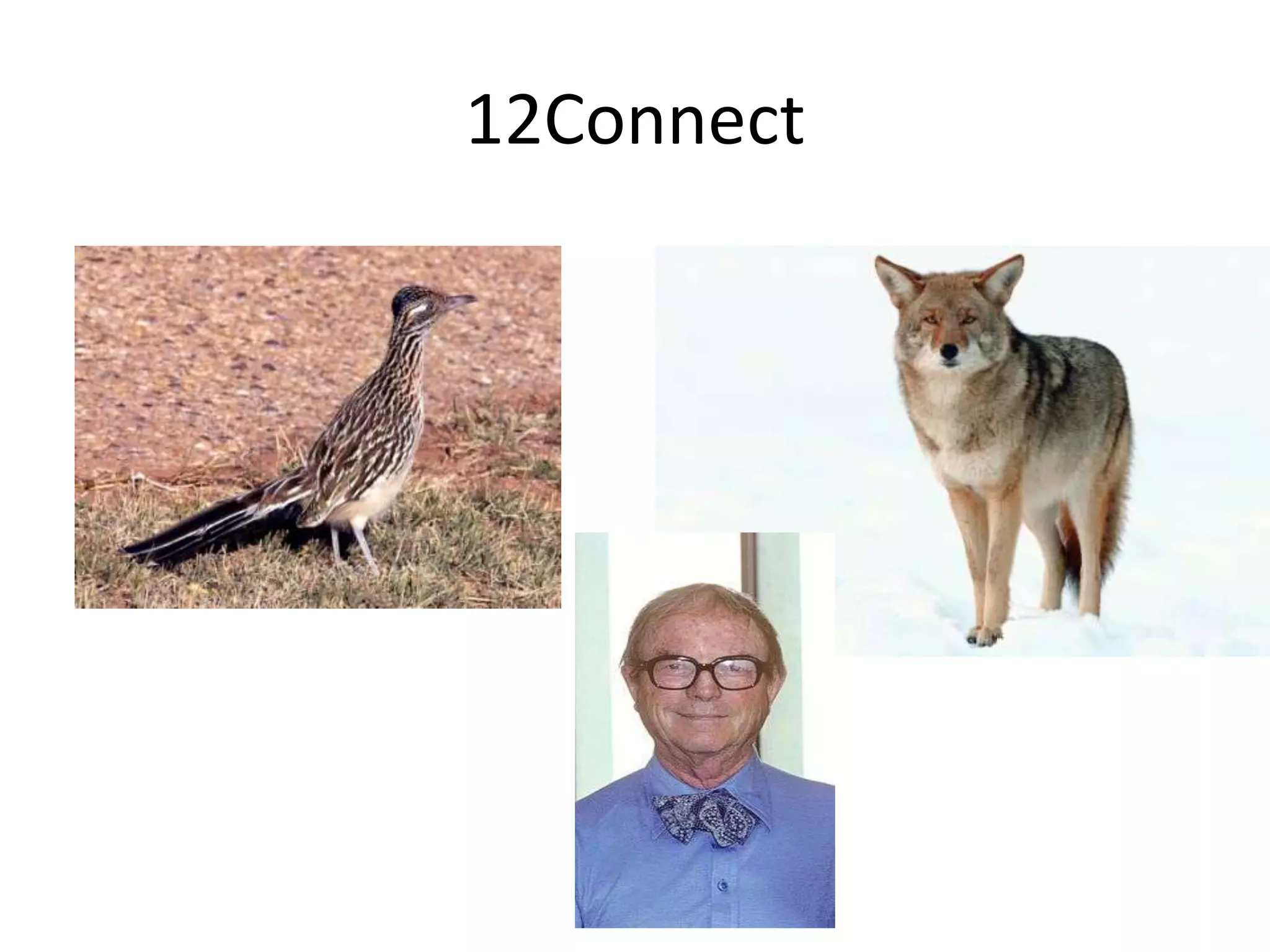 12Connect
 