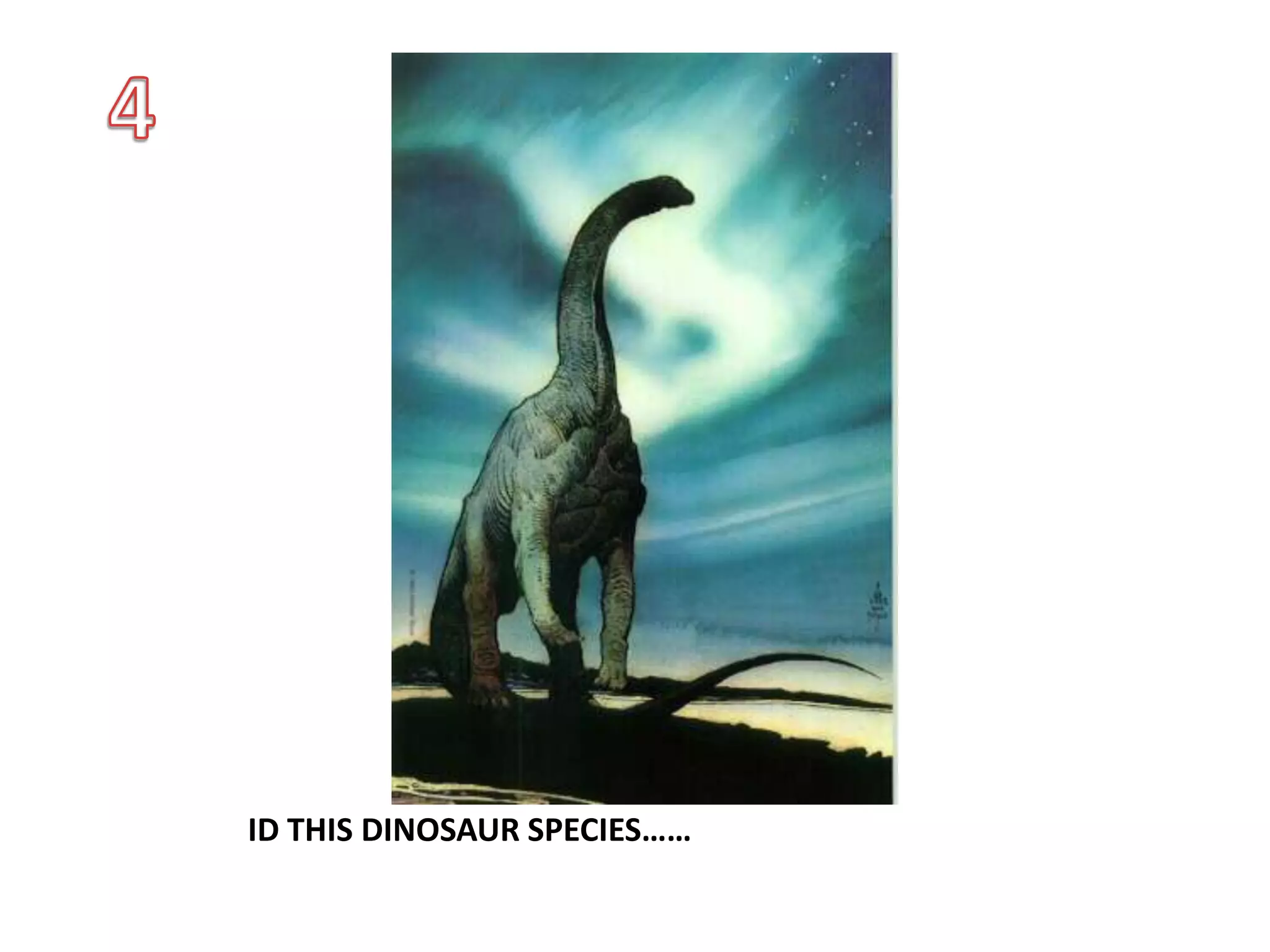 ID THIS DINOSAUR SPECIES……
 