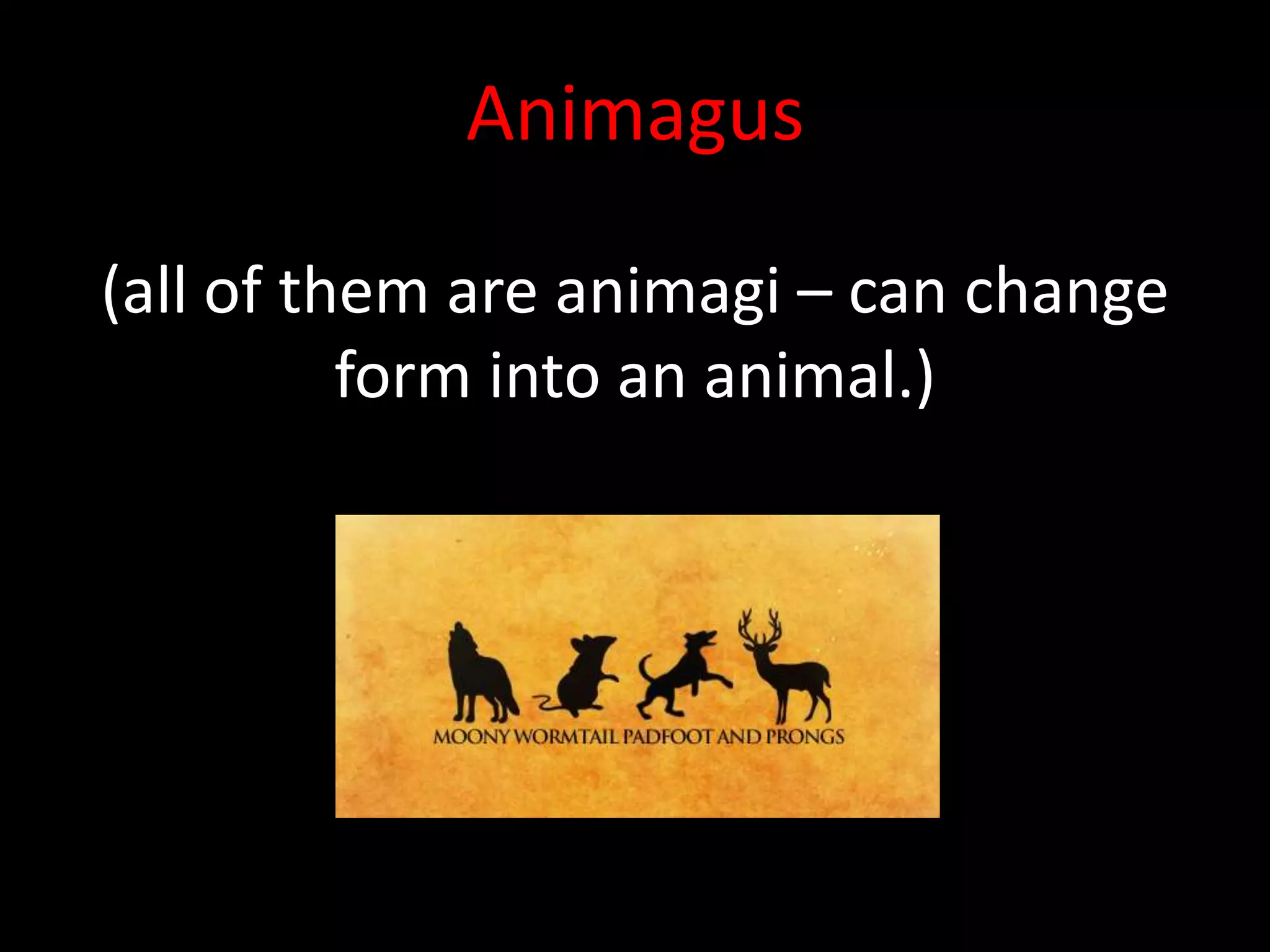 Animagus

(all of them are animagi – can change
          form into an animal.)
 