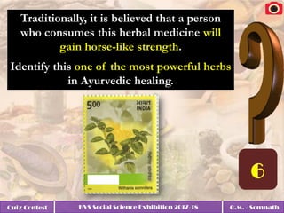 Quiz Contest KVS Social Science Exhibition 2017-18 Q.M. - Somnath
Traditionally, it is believed that a person
who consumes this herbal medicine will
gain horse-like strength.
Identify this one of the most powerful herbs
in Ayurvedic healing.
 