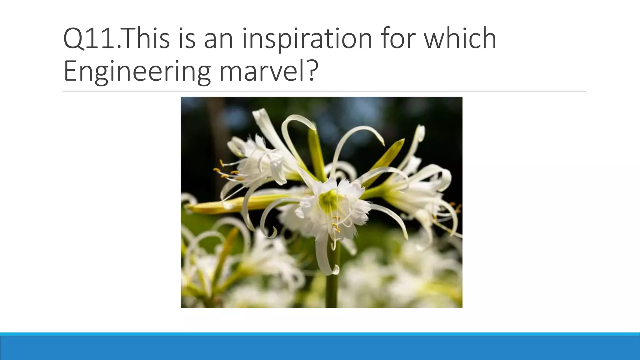 Q11.This is an inspiration for which
Engineering marvel?
 