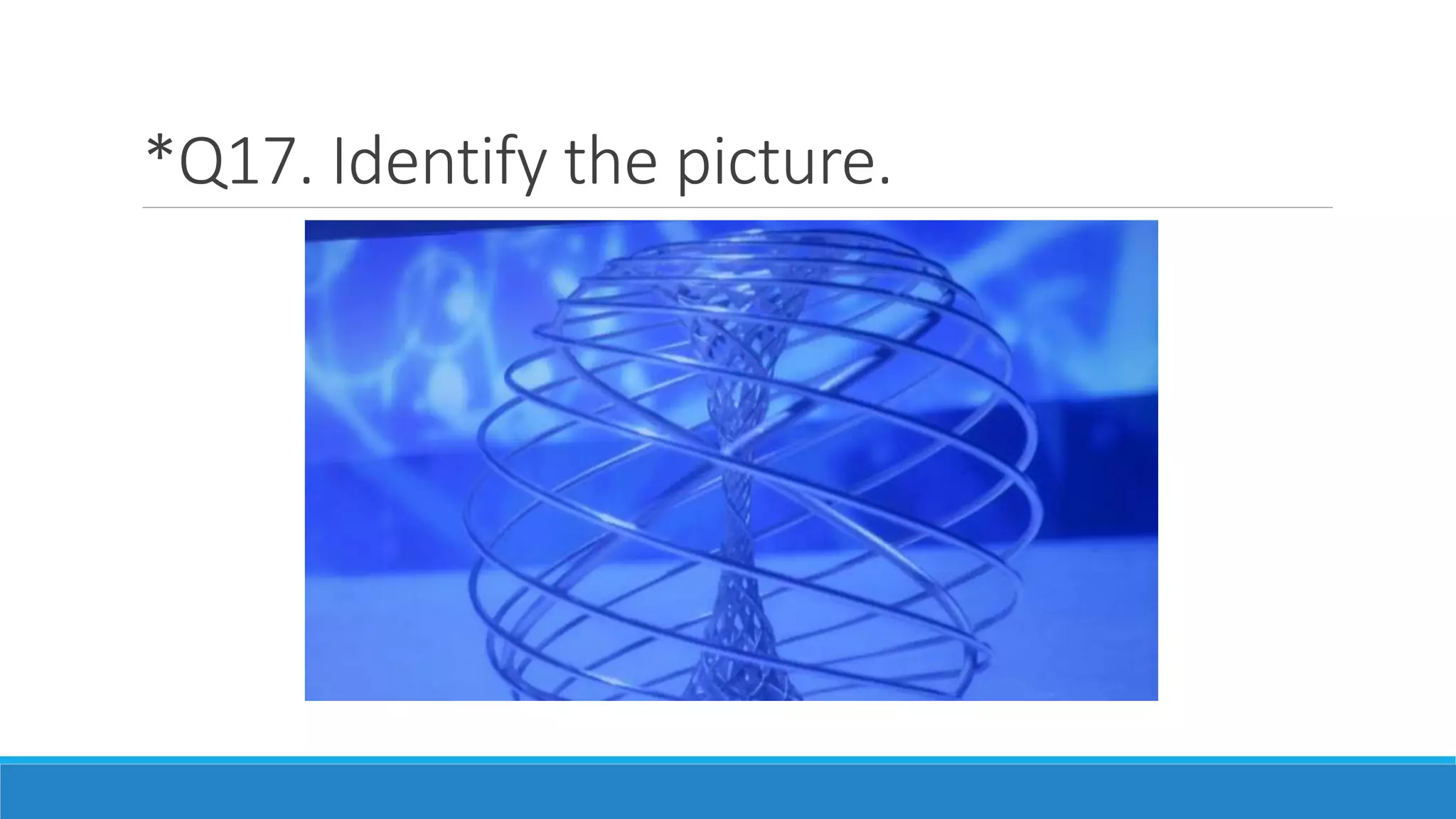 *Q17. Identify the picture.
 