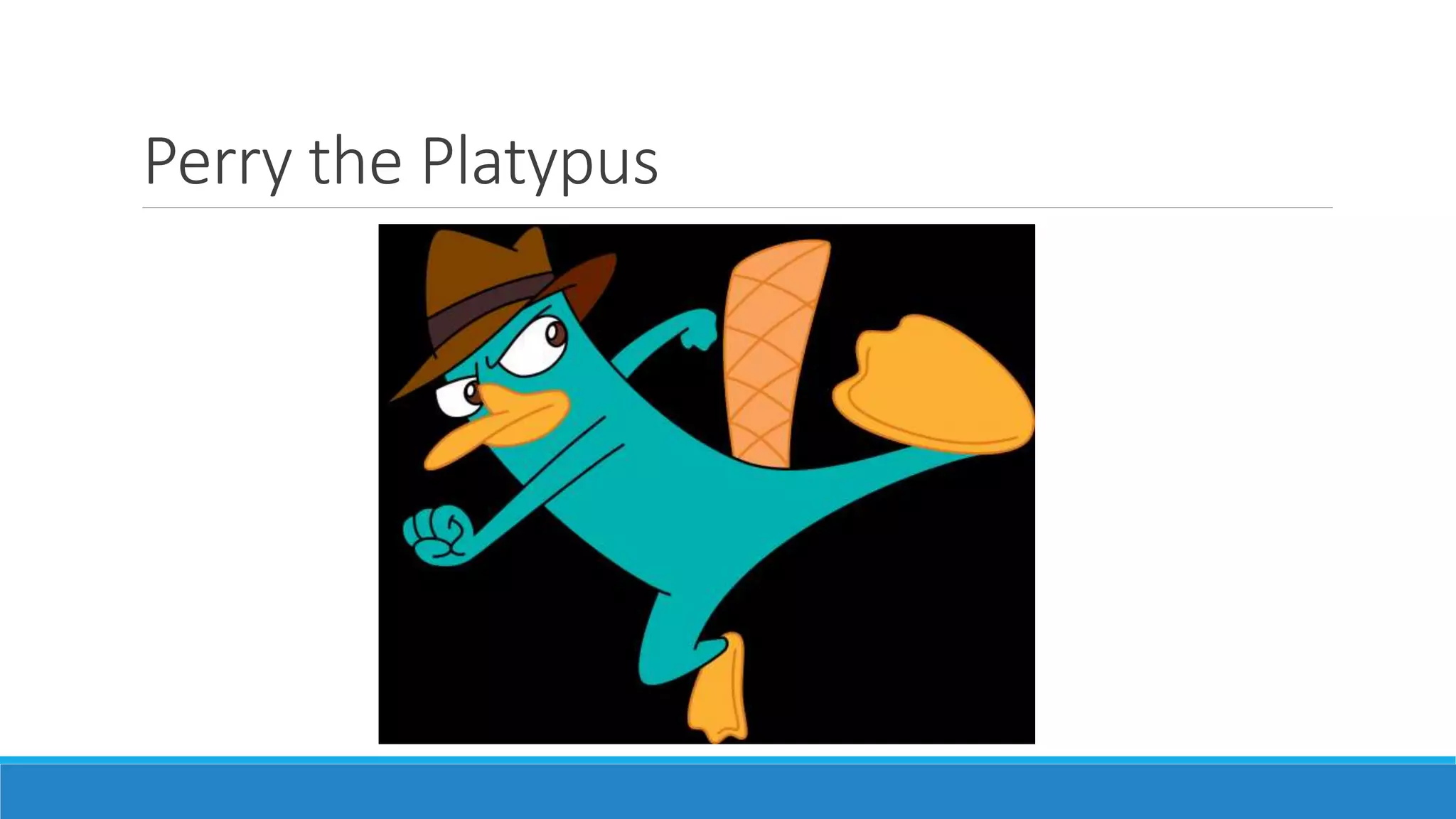 Perry the Platypus
 