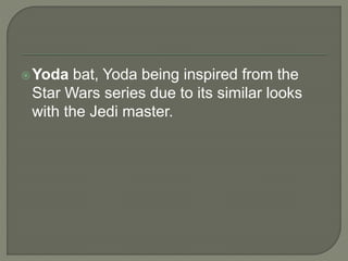 Yoda bat, Yoda being inspired from the
Star Wars series due to its similar looks
with the Jedi master.
 