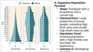 Triangular Graph Population Prelims (1).pptx Geography for everyone students | PPTX