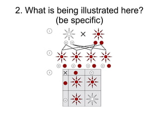 2. What is being illustrated here?
           (be specific)
 