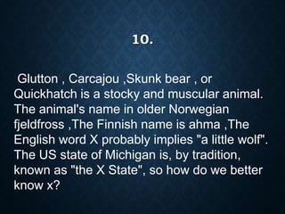 Glutton , Carcajou ,Skunk bear , or
Quickhatch is a stocky and muscular animal.
The animal's name in older Norwegian
fjeldfross ,The Finnish name is ahma ,The
English word X probably implies "a little wolf".
The US state of Michigan is, by tradition,
known as "the X State", so how do we better
know x?
10.
 