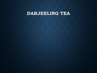 DARJEELING TEA
 