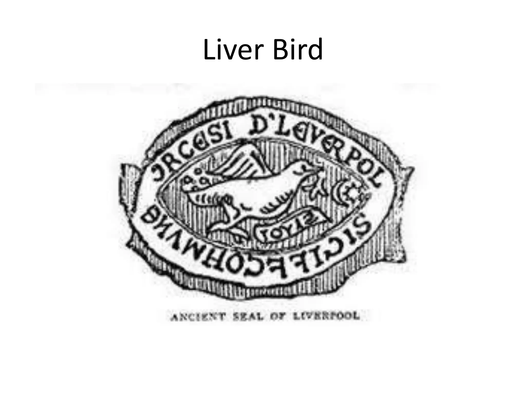 Liver Bird
 