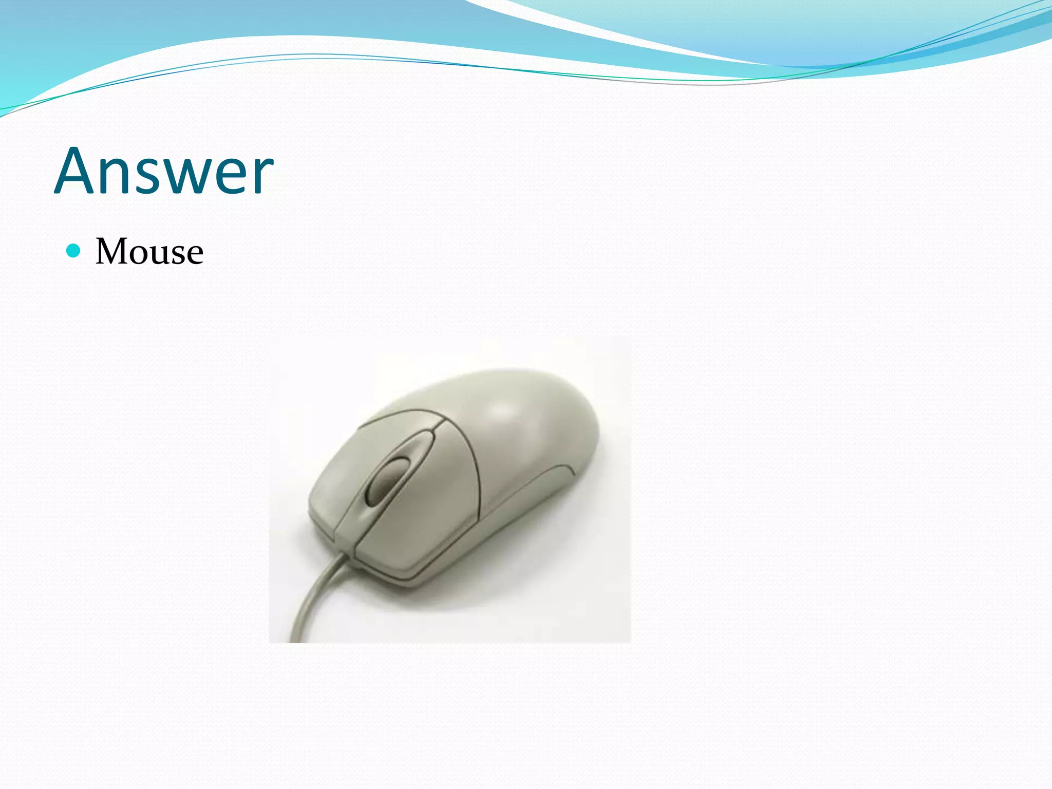 Answer
 Mouse
 