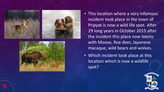 9.
• This location where a very infamous
incident took place in the town of
Pripyat is now a wild life spot. After
29 long years in October 2015 after
the incident this place now teems
with Moose, Roe deer, Japanese
macaque, wild boars and wolves.
• Which incident took place at this
location which is now a wildlife
spot?
 