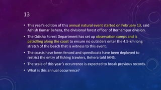 13
• This year’s edition of this annual natural event started on February 13, said
Ashish Kumar Behera, the divisional forest officer of Berhampur division.
• The Odisha Forest Department has set up observation camps and is
patrolling along the coast to ensure no outsiders enter the 4.5-km long
stretch of the beach that is witness to this event.
• The coasts have been fenced and speedboats have been deployed to
restrict the entry of fishing trawlers, Behera told IANS.
• The scale of this year’s occurrence is expected to break previous records.
• What is this annual occurrence?
 