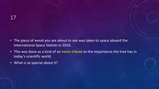 17
• The piece of wood you are about to see was taken to space aboard the
International Space Station in 2010.
• This was done as a kind of an ironic tribute to the importance the tree has in
today’s scientific world.
• What is so special about it?
 