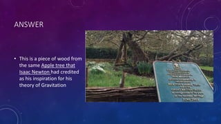 ANSWER
• This is a piece of wood from
the same Apple tree that
Isaac Newton had credited
as his inspiration for his
theory of Gravitation
 