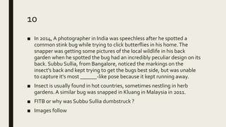 10
■ In 2014, A photographer in India was speechless after he spotted a
common stink bug while trying to click butterflies in his home.The
snapper was getting some pictures of the local wildlife in his back
garden when he spotted the bug had an incredibly peculiar design on its
back. Subbu Sullia, from Bangalore, noticed the markings on the
insect's back and kept trying to get the bugs best side, but was unable
to capture it's most ______-like pose because it kept running away.
■ Insect is usually found in hot countries, sometimes nestling in herb
gardens. A similar bug was snapped in Kluang in Malaysia in 2011.
■ FITB or why was Subbu Sullia dumbstruck ?
■ Images follow
 