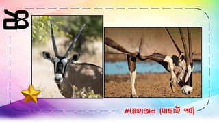 ২৪
#স্নেহাঞ্জন (বাছাই পবব)
 
