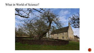 What in World of Science?
 