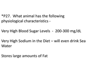 *P27. What animal has the following
physiological characteristics -
Very High Blood Sugar Levels - 200-300 mg/dL
Very High Sodium in the Diet – will even drink Sea
Water
Stores large amounts of Fat
 