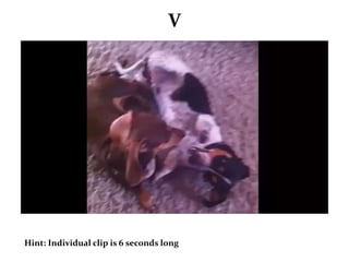 V 
Hint: Individual clip is 6 seconds long 
 