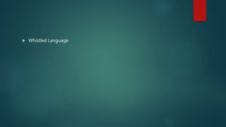  Whistled Language
 