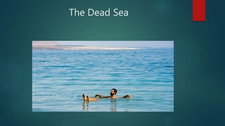 The Dead Sea
 