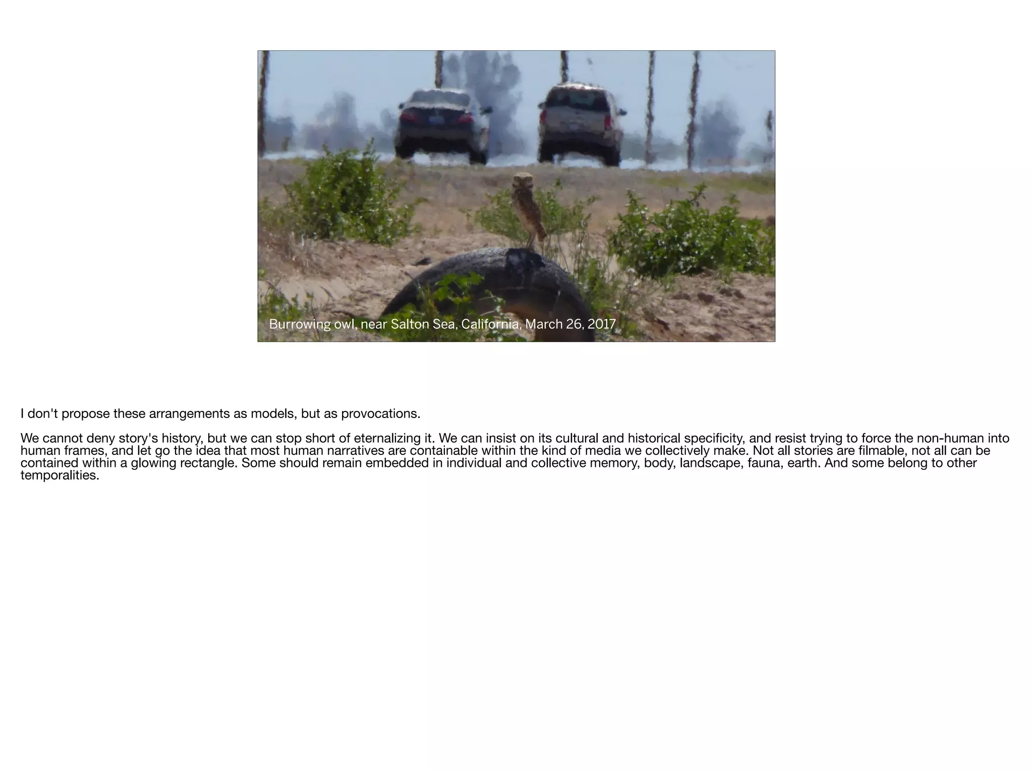 Burrowing owl, near Salton Sea, California, March 26, 2017
I don't propose these arrangements as models, but as provocations.

We cannot deny story's history, but we can stop short of eternalizing it. We can insist on its cultural and historical speciﬁcity, and resist trying to force the non-human into
human frames, and let go the idea that most human narratives are containable within the kind of media we collectively make. Not all stories are ﬁlmable, not all can be
contained within a glowing rectangle. Some should remain embedded in individual and collective memory, body, landscape, fauna, earth. And some belong to other
temporalities.
 