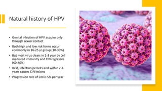 Natural history of HPV
• Genital infection of HPV acquire only
through sexual contact
• Both high and low risk forms occur
commonly in 16-25 yr group (10-30%)
• But most virus clears in 2-3 year by cell
mediated immunity and CIN regresses
(60-80%)
• Rest, infection persists and within 2-4
years causes CIN lesions
• Progression rate of CIN is 5% per year
 
