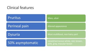 Clinical features
Pruritus
Perineal pain
Dysuria
50% asymptomatic
Mass, ulcer
Altered appearance
Most multifocal, non hairy part
raised/verrucous white, red, brown,
pink, gray, macular lesion
 