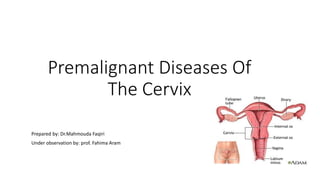 Premalignant Diseases Of
The Cervix
Prepared by: Dr.Mahmouda Faqiri
Under observation by: prof. Fahima Aram
 