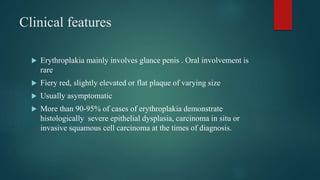 Clinical features
 Erythroplakia mainly involves glance penis . Oral involvement is
rare
 Fiery red, slightly elevated or flat plaque of varying size
 Usually asymptomatic
 More than 90-95% of cases of erythroplakia demonstrate
histologically severe epithelial dysplasia, carcinoma in situ or
invasive squamous cell carcinoma at the times of diagnosis.
 