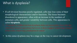 What is dysplasia?
• If cell division becomes poorly regulated, cells may lose some of their
morphological characteristics and/or functions. The tissue becomes
disordered in appearance, often with an increase in the numbers of
immature cells, and greater variability between cells. This appearance is
called dysplasia.
• It should be emphasized that dysplasia does not necessarily show that the
cells have become cancerous; however, it does suggest underlying changes
in the cells, which may predispose to cancer.
• In this sense dysplasia may be a stage on the way to cancer development.
 