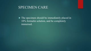 SPECIMEN CARE
 The specimen should be immediately placed in
10% formalin solution, and be completely
immersed.
 