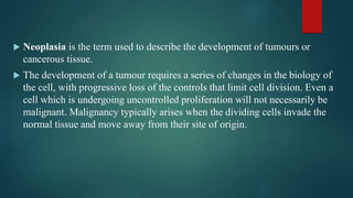  Neoplasia is the term used to describe the development of tumours or
cancerous tissue.
 The development of a tumour requires a series of changes in the biology of
the cell, with progressive loss of the controls that limit cell division. Even a
cell which is undergoing uncontrolled proliferation will not necessarily be
malignant. Malignancy typically arises when the dividing cells invade the
normal tissue and move away from their site of origin.
 
