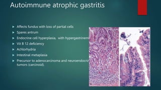 Autoimmune atrophic gastritis
 Affects fundus with loss of partial cells
 Spares antrum
 Endocrine cell hyperplasia, with hypergastrinemia
 Vit B 12 deficiency
 Achlorhydria
 Intestinal metaplasia
 Precursor to adenocarcinoma and neuroendocrine
tumors (carcinoid).
 