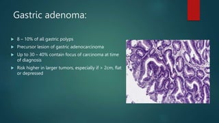 Gastric adenoma:
 8 – 10% of all gastric polyps
 Precursor lesion of gastric adenocarcinoma
 Up to 30 – 40% contain focus of carcinoma at time
of diagnosis
 Risk higher in larger tumors, especially if > 2cm, flat
or depressed
 