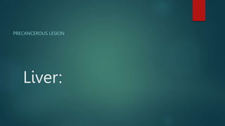 Liver:
PRECANCEROUS LESION
 