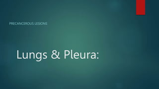 Lungs & Pleura:
PRECANCEROUS LESIONS
 