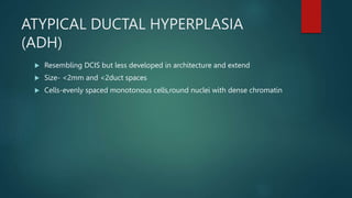 ATYPICAL DUCTAL HYPERPLASIA
(ADH)
 Resembling DCIS but less developed in architecture and extend
 Size- <2mm and <2duct spaces
 Cells-evenly spaced monotonous cells,round nuclei with dense chromatin
 