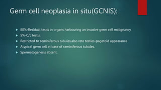 Germ cell neoplasia in situ(GCNIS):
 80%-Residual testis in organs harbouring an invasive germ cell malignancy
 5%-C/L testis.
 Restricted to seminiferous tubules,also rete testies-pagetoid appearance
 Atypical germ cell at base of seminiferous tubules.
 Spermatogenesis absent.
 