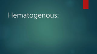 Hematogenous:
 