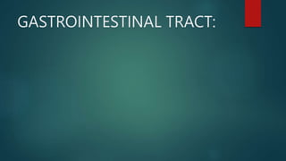 GASTROINTESTINAL TRACT:
 
