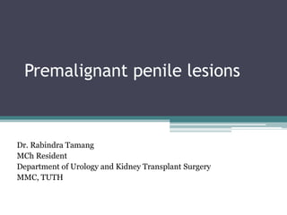 Premalignant penile lesions
Dr. Rabindra Tamang
MCh Resident
Department of Urology and Kidney Transplant Surgery
MMC, TUTH
 