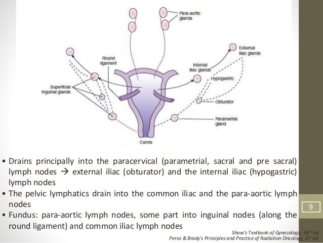 Lymphatic drainage of cervix Clearance